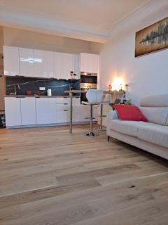 loft notre dame annecy - Annecy - 5