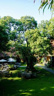 Kayu Arum Resort - Salatiga - 3