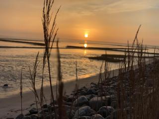 App-Frische-Brise - 6