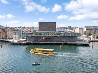 Luxury Living in Copenhagen Prime Spot - 2