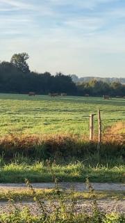 Sfeervol huis op het platteland - Mailhac-sur-Benaize - 5