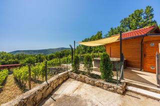 Wine Garden House - Grižane - 9