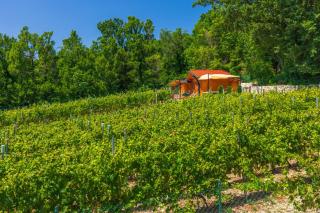 Wine Garden House - Grižane - 5