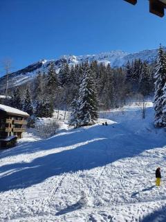 Le Cocon de la Marmotte - Valmorel - 6