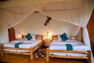 Kibale Tourist Safari Lodge - Bigodi - 3