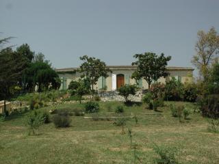 Logement Provence dans domaine oléicole - Aubagne - 4