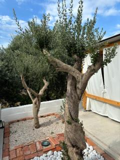 Apartman Irena 2 - Rtina - 0