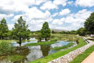 Hilton Garden Inn Austin North - Austin - 7