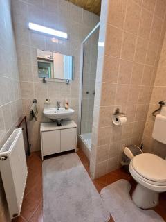 Apartma v objemu gora - Krvavec - Cerklje na Gorenjskem - 3
