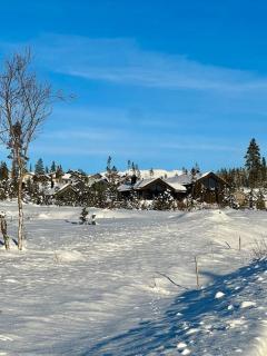 Ny eksklusiv hytte, strøm og jacuzzi inkl i prisen - Flå - 5