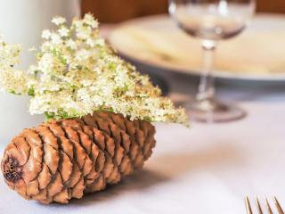 Chalet Mungg by Interhome - 1