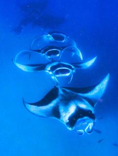 Chak’z 1964 Beach - 9