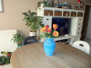 Appt juan les pins soleil mer - Antibes - 0