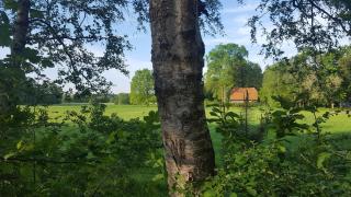 Gästehaus am Kattensteert - Borchel - 7