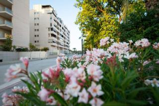 Villa Albandro - Elche - 1