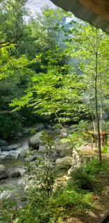 Venera's Guest House - 9