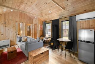 Vermont Scandinavian Chalet-Courchevel - Wolcott - 5