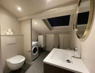 Cocon sous le toit, 6 personnes, Villeurbanne - Villeurbanne - 7