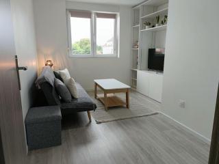 Appartement entier F3 rénové - Petite pause à Sélestat - Sélestat - 0
