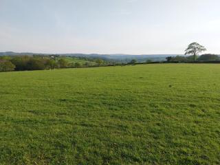 The Shearers Retreat - Llanfynydd - 2