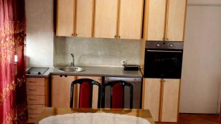 Spasojević Apartman - Kuršumlija - 3