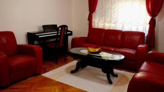 Spasojević Apartman - Kuršumlija - 6