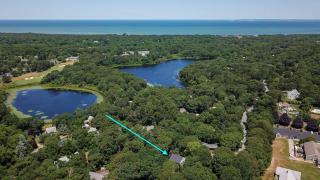 Full Sand Volleyball Court Walk to Pond - Brewster - 8