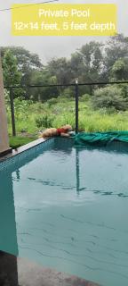 Harmony by the River- Villa no 12 - Pali - 8