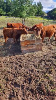 Roqueríos Logde, Tinaja incluida, Antuco - 3