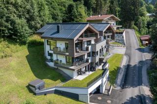 Appartement Schmittenblick Top 1 - Viehhofen - 9