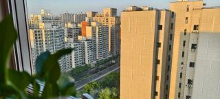 Chaoyang Joy City Hardcover Apartment - 6