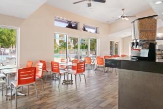 Orlando International Drive North Hotel - 4