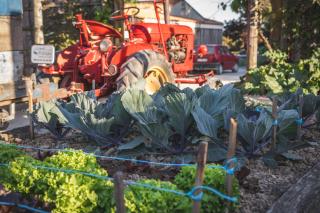 Camping Paradis La Grand'Métairie - 1