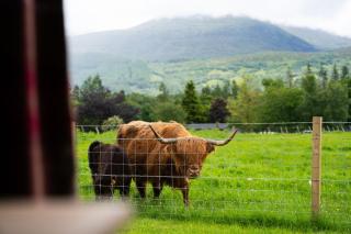 Aonach Mor Pod - Fort William - 9