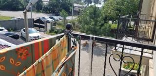 Mate's GUEST HOUSE - Kobuleti - 5