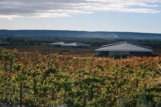 Villas Del Malbec Lodges - 5