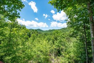 Mountain Views | Hot Tub | Near Bryson City - 9