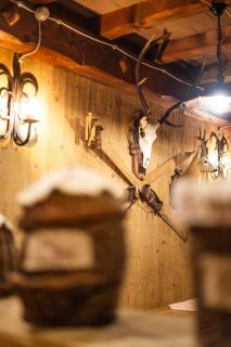 Alfio's Alpen Suite - Roncone - 2