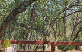 Amazing Home In La Garde-Freinet - La Garde-Freinet - 3