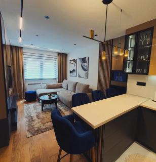 Lazarevic Lux - Vila Pekovic - Zlatibor - 4