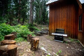 Cabin on the Edge of Forever - Brighton - 4