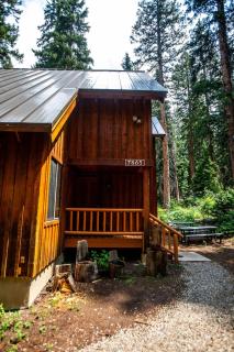 Cabin on the Edge of Forever - Brighton - 7