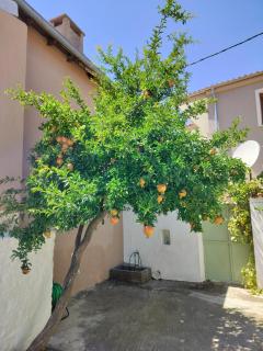 ilkay's House - Nea Makri - 8
