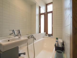 Midcentury modern, quiet, 40m studio with bath - Riga - 2