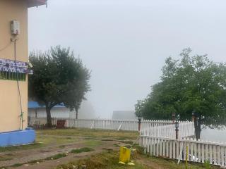 Habib Green Cottage - Upper Neelun - 9