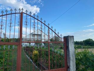 Mesi Bridge Villa - 4