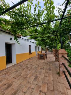 Corteganillas - Cortegana - 9