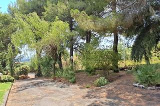 Terrazza in collina - Trecastagni - 8