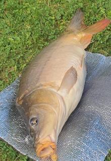 Biały domek nad stawem - 7