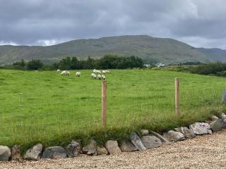 Lakeside Cabin - Galway - 1